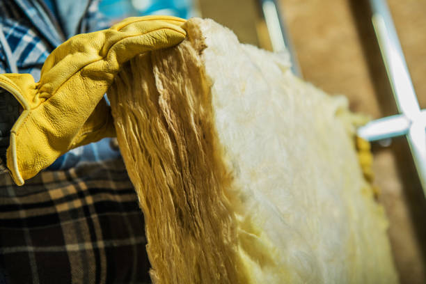 Professional Insulation Contractor in Macom, IL